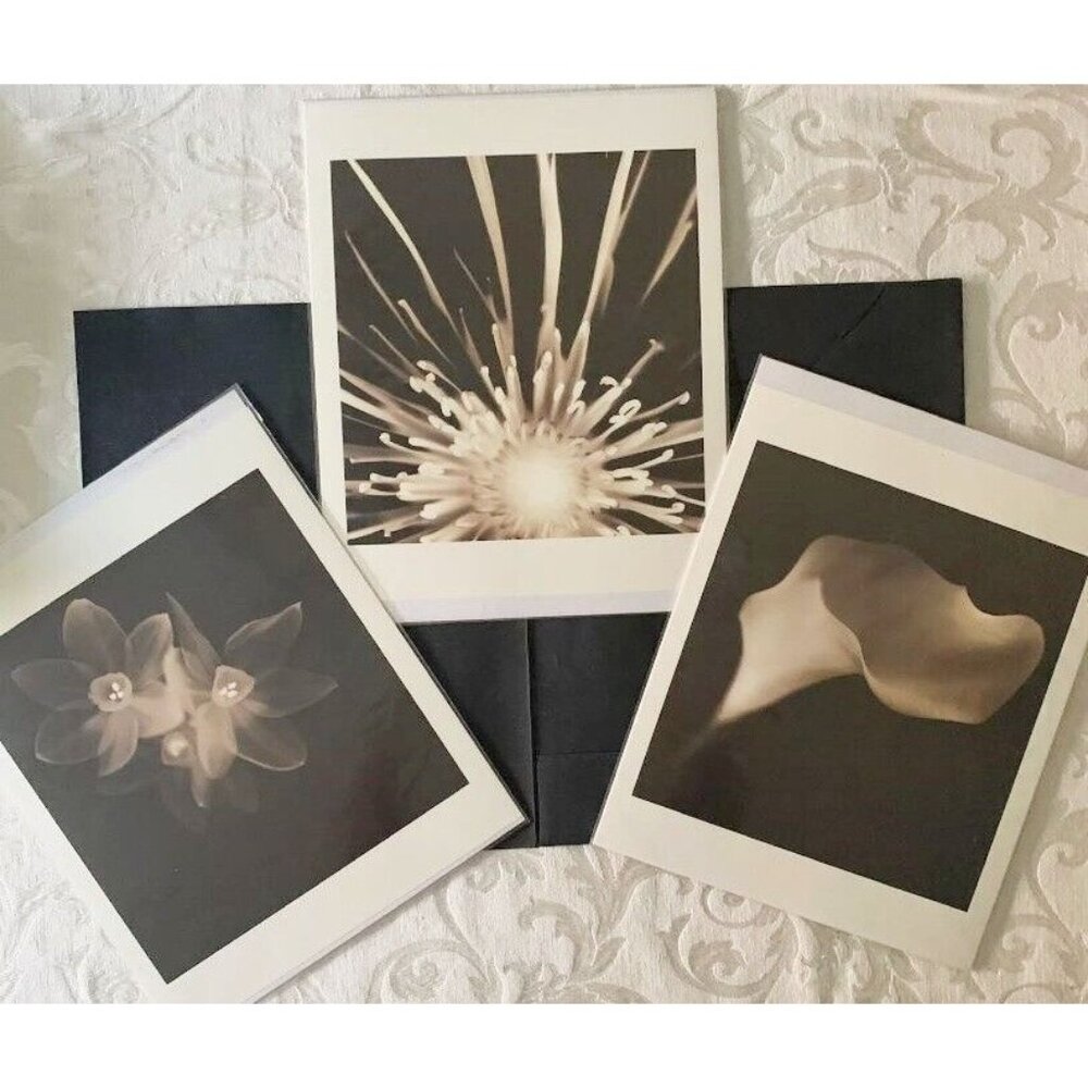 Southern Living Melissa Springer Blooms Art Prints FACTORY SEALED 40713 Black